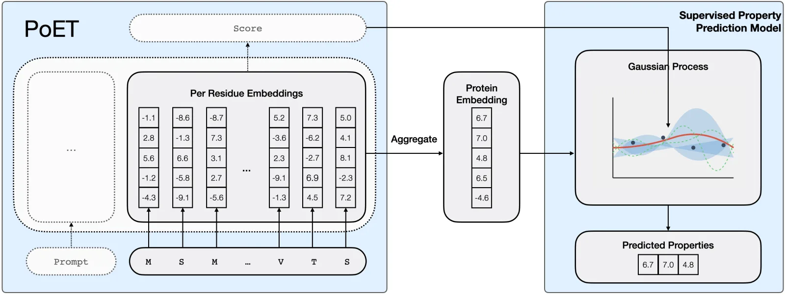 Diagram showing Gaussian Process model architecture using PoET embeddings and log-likelihoods